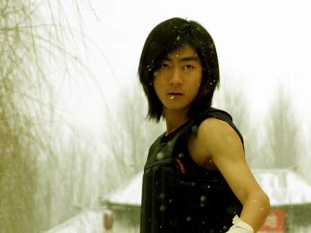 Ushu: Jang sanati