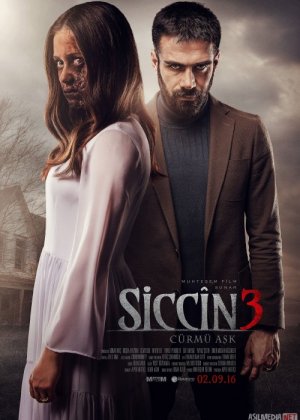 Sidjin 3: Aybdor sevgi