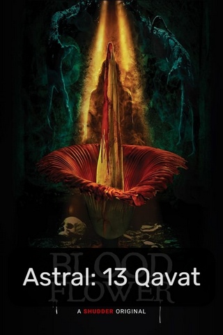Astral 13 Qavat