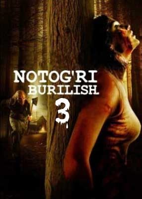 Noto'g'ri burilish 3