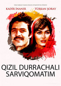 Qizil durrachali sarviqomatim