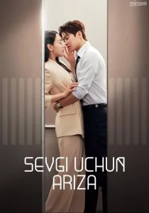 Sevgi uchun ariza posteri